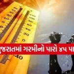 Weather 1005
