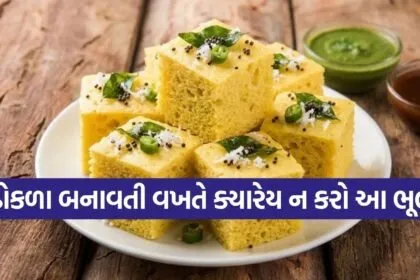 Khaman Dhokla