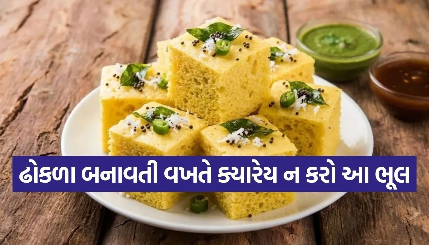 Khaman Dhokla