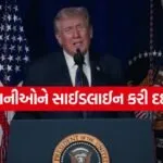 trump 1005 2