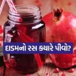 pomegranate Juice 1305