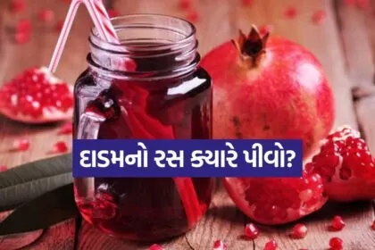 pomegranate Juice 1305
