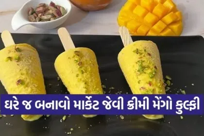 Mango Slice Kulfi