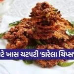 Bitter Gourd Chips