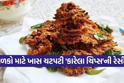 Bitter Gourd Chips