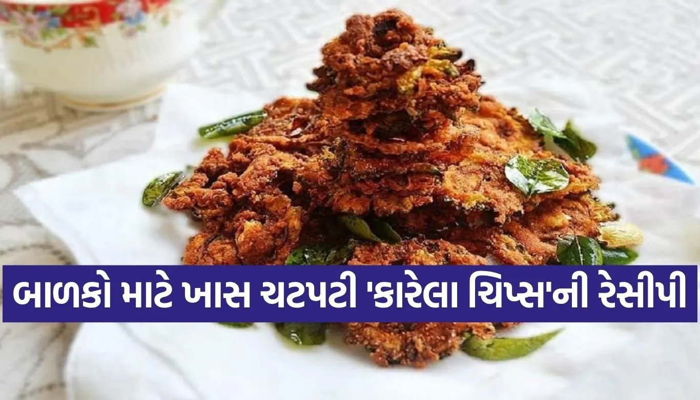 Bitter Gourd Chips
