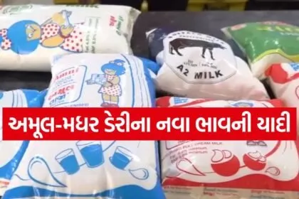 amul 1405