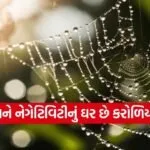 Spider webs