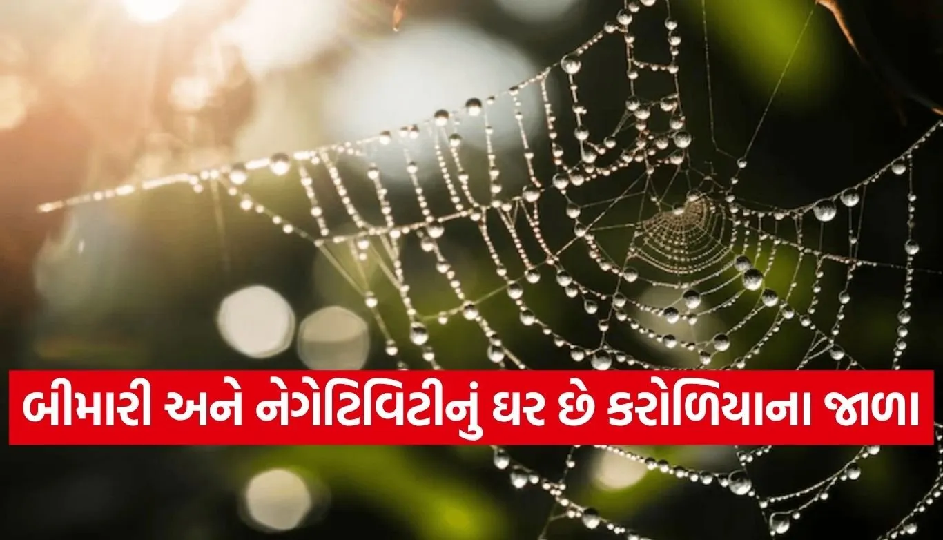 Spider webs