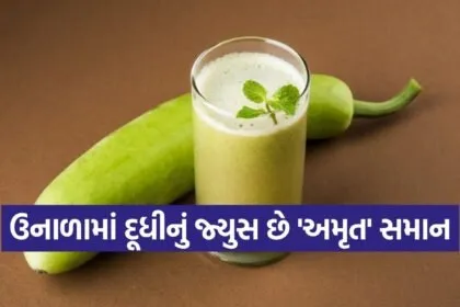 Bottle gourd juice