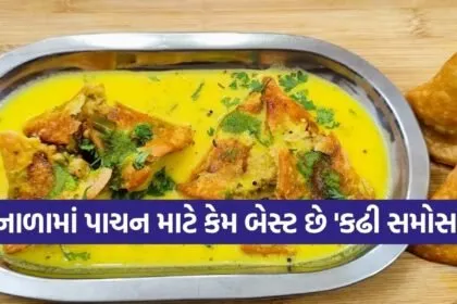 Kadhi samosa