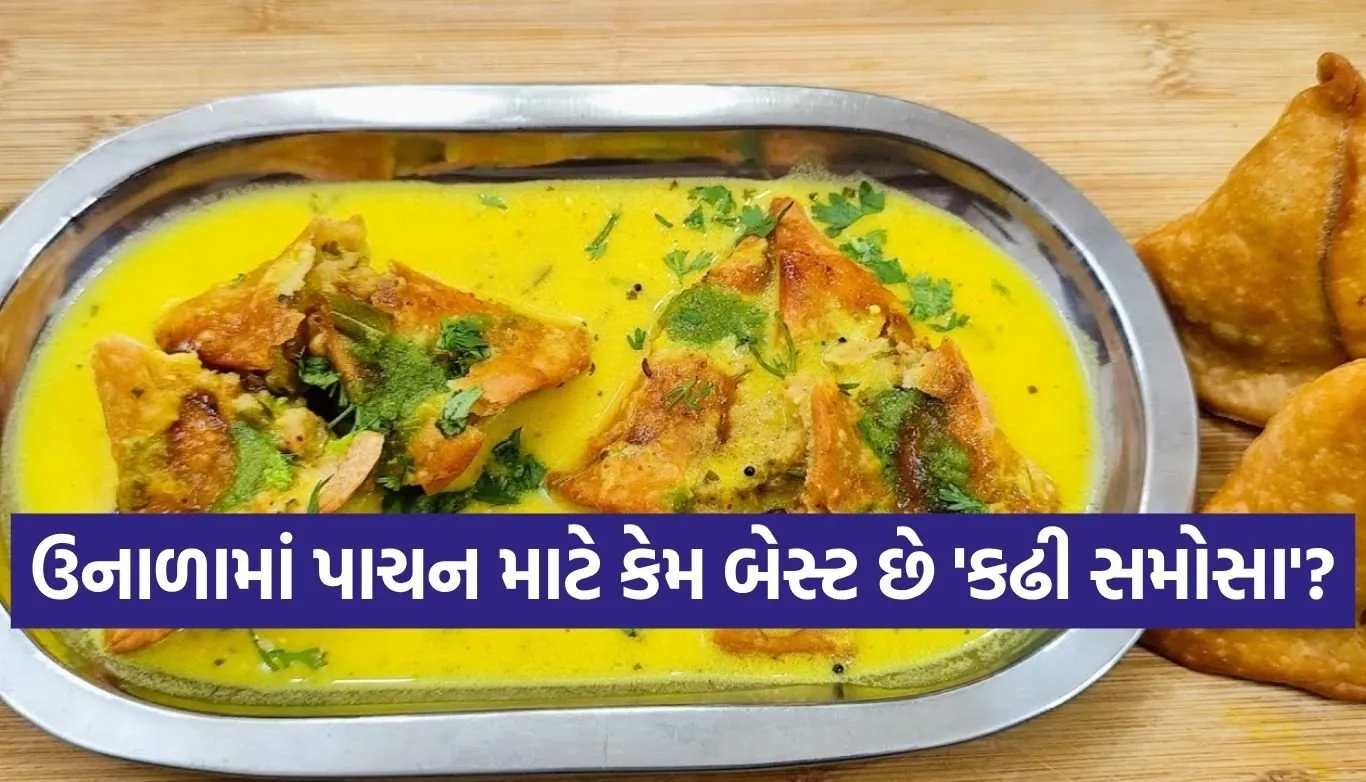 Kadhi samosa