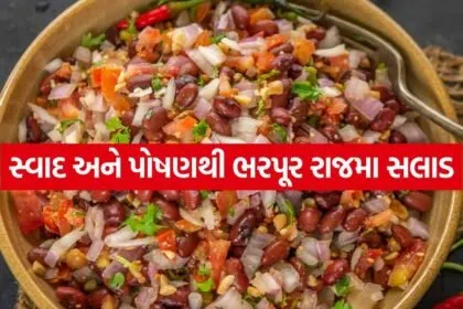 Rajma salad 1405