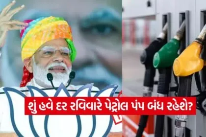 India 3
