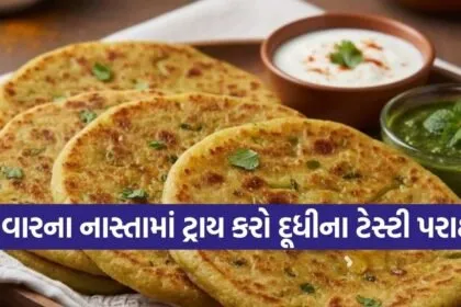 Bottle Gourd Paratha