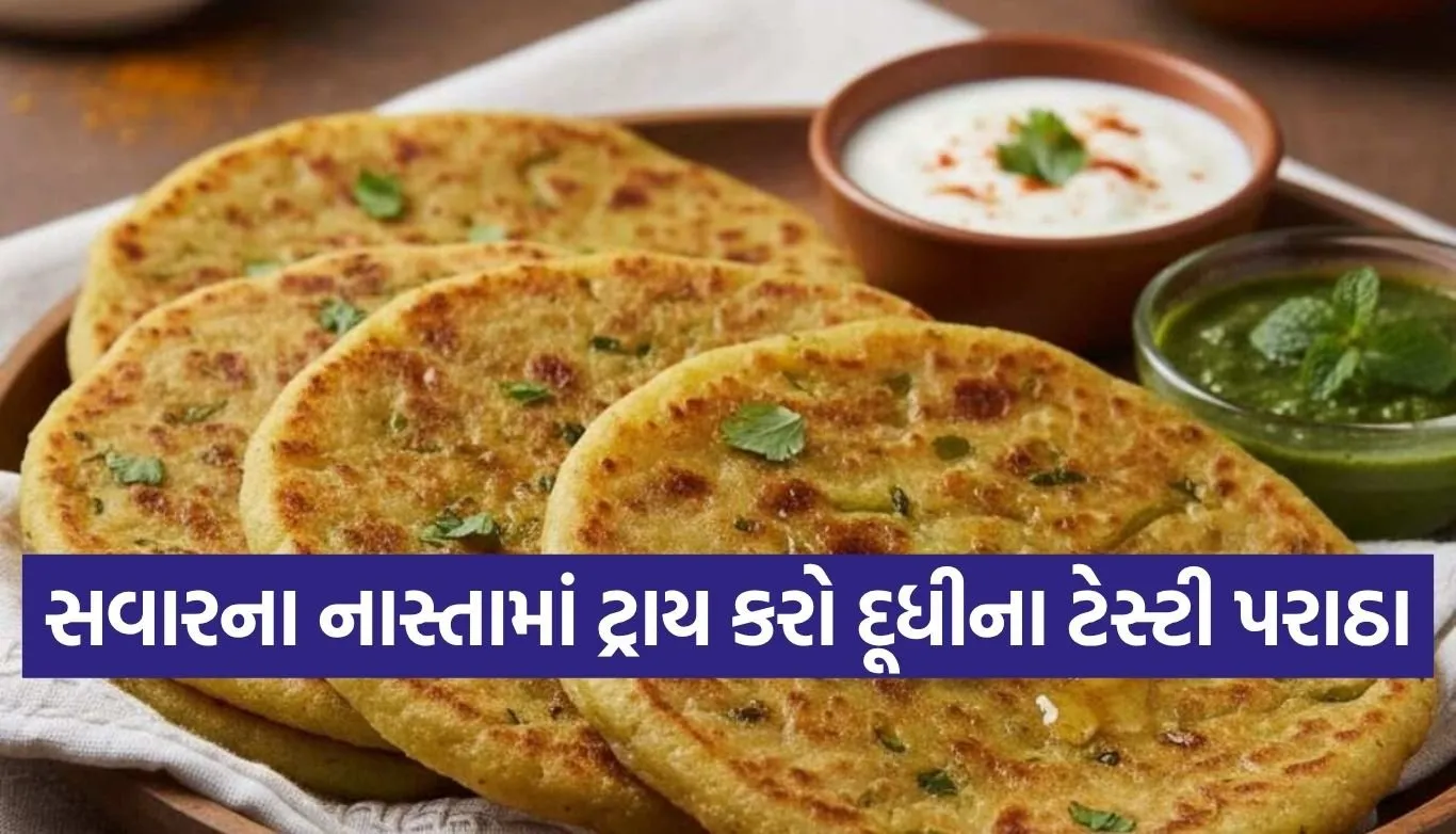 Bottle Gourd Paratha