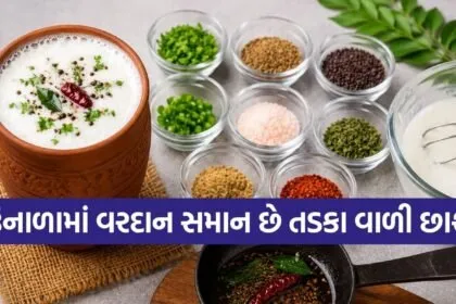 Masala Chaas