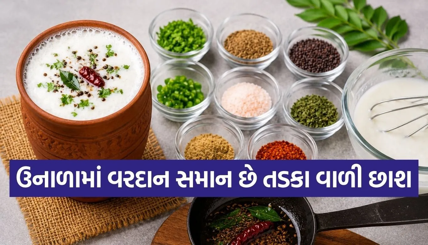 Masala Chaas