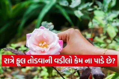 Flower Picking
