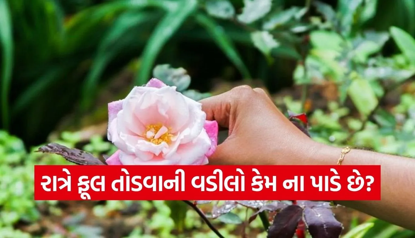 Flower Picking