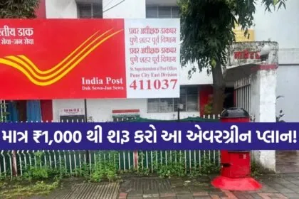 India 2026 05 21T171053.770