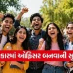 Government Job