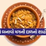 Moong Dal Halwa