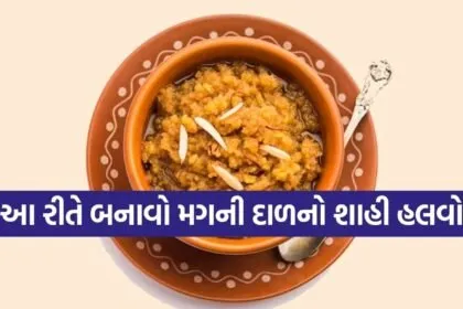Moong Dal Halwa