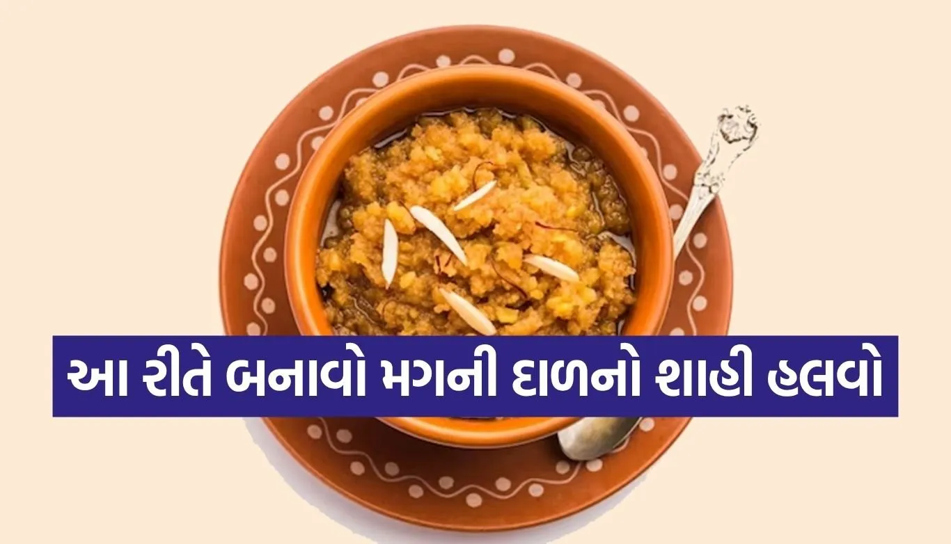Moong Dal Halwa