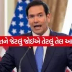 Rubio 2005