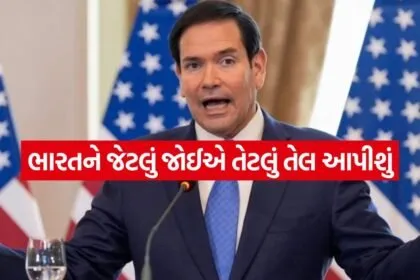 Rubio 2005