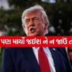 Trump 2005 3