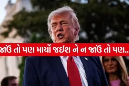 Trump 2005 3