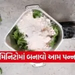 Aam Panna Powder