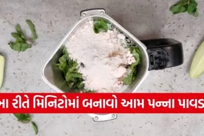 Aam Panna Powder
