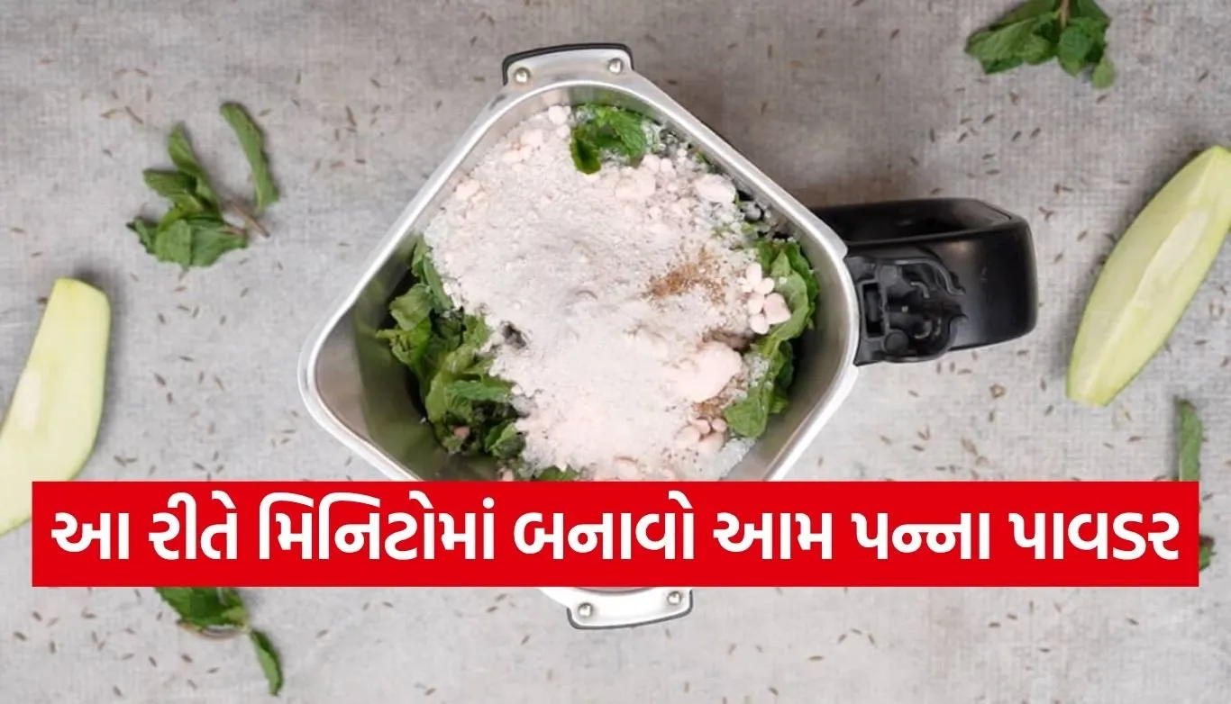 Aam Panna Powder