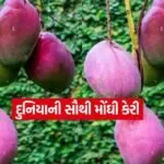 dharmishtha 1 9