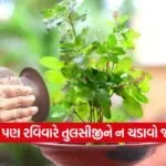 dharmishtha 1 23