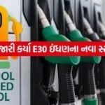 Petrol 2005