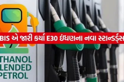 Petrol 2005