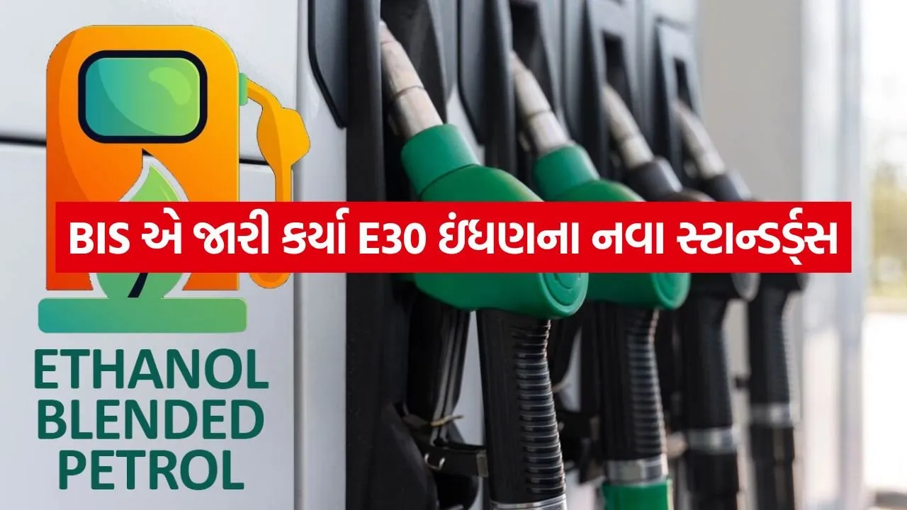 Petrol 2005.jpg