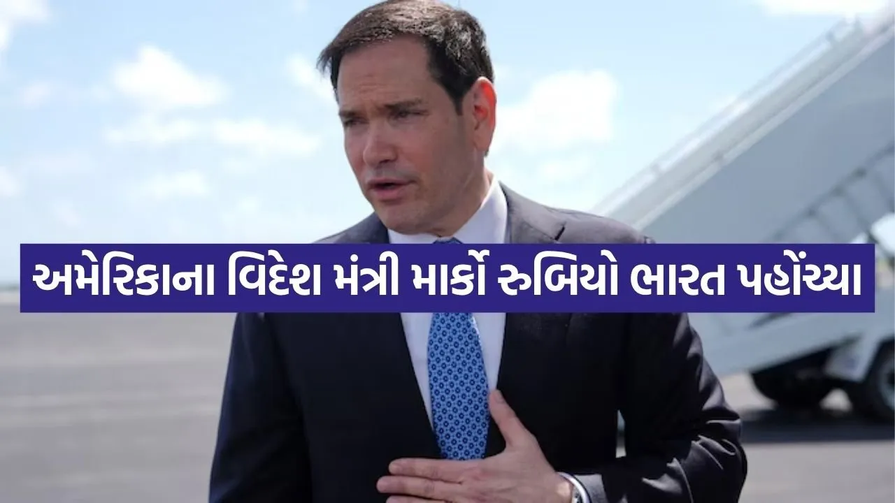 Rubio 2305.jpg