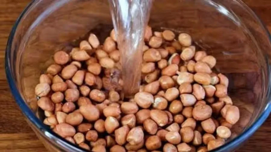 ઉનાળામાં પલાળેલી મગફળી ખાવાના ફાયદા: પલાળવાથી બદલાઈ જાય છે તેની તાસીર, જાણો હેલ્થ બેનિફિટ્સ 3 sing.jpg