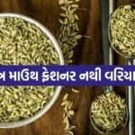 Fennel seeds 2305