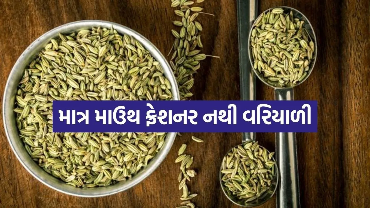 Fennel seeds 2305.jpg