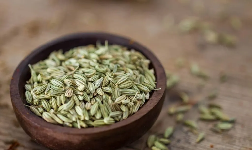 ભોજન કર્યા પછી તરત વરિયાળી કેમ ખાવી જોઈએ? 3 FENNEL SEEDS.1