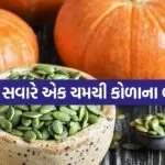 Pumpkin seeds 2305