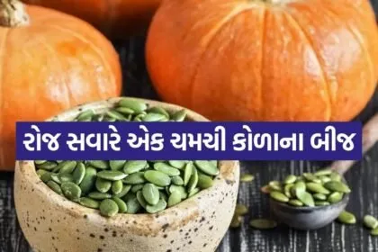 Pumpkin seeds 2305