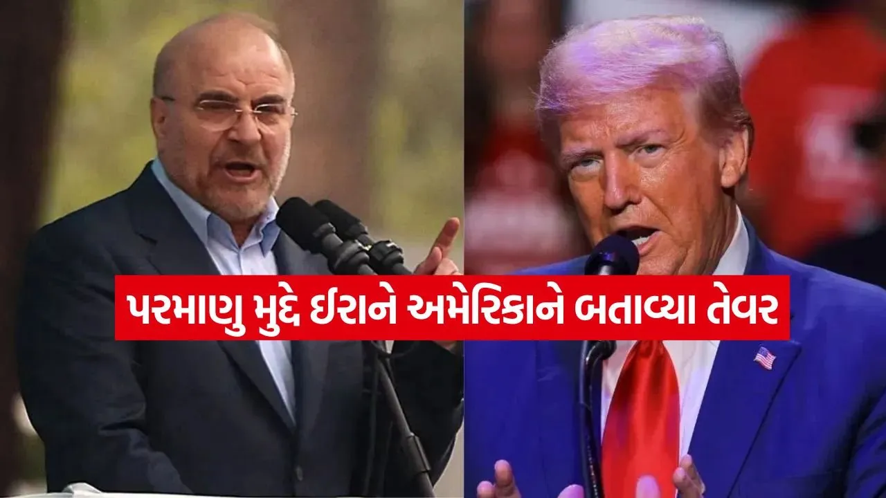 Trump 2505 1.jpg