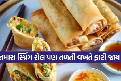 Spring Roll: